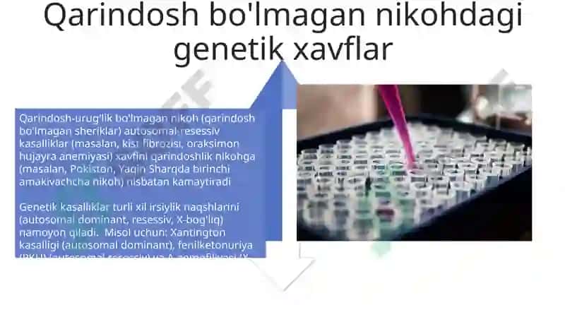 Mc_Senoritta 4