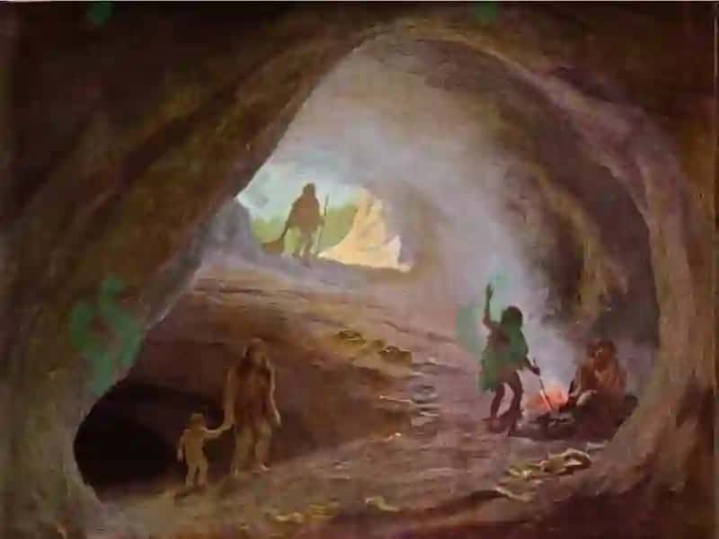 Dunyoaholisisoni,o`sishivajoylashuvi 4