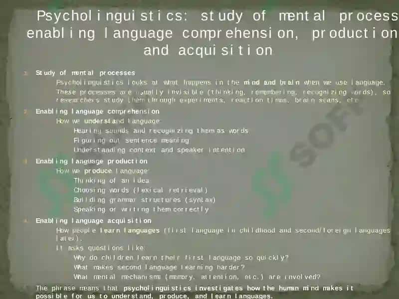 Psycholinguistic and Cognitive Processes in Language Learning 4