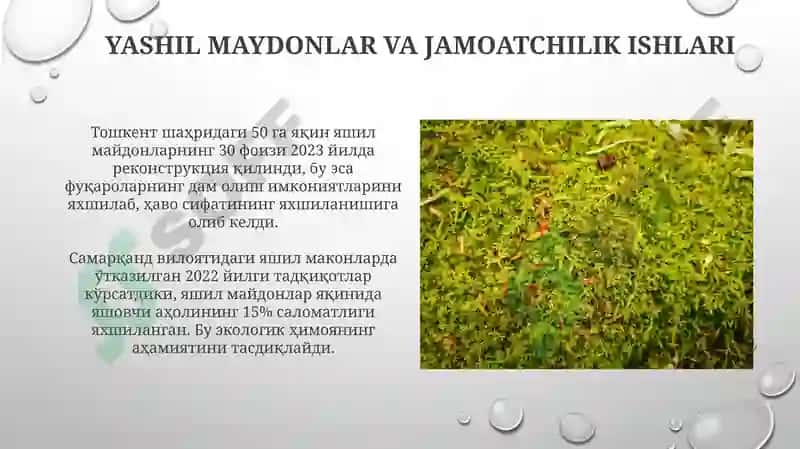 Yashil makon 4