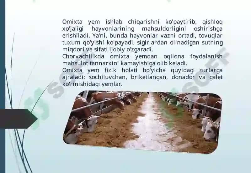 Omixta yem maydalanish yirikligini aniqlash 4