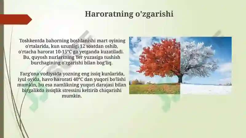 Yil fasllari almashinuvi 4