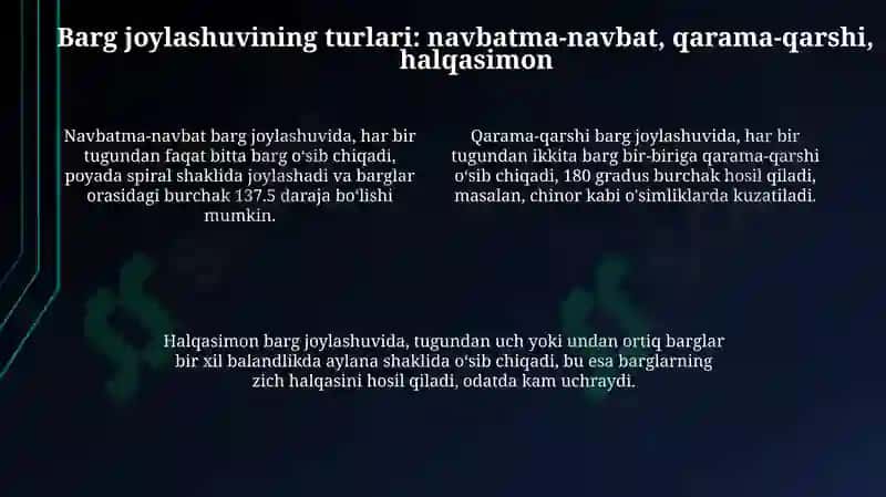 Oʻsimliklarning bargjoylashishini(navbatma-navbat,qarama-qarshi,toʻpgul)tahlilqilish 4