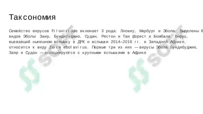 Вирус Эбола 4