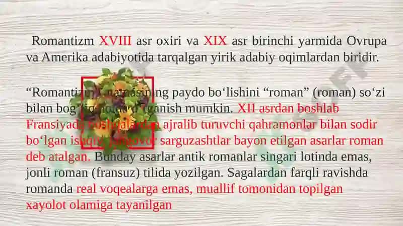 Romantizm adabiyoti 4