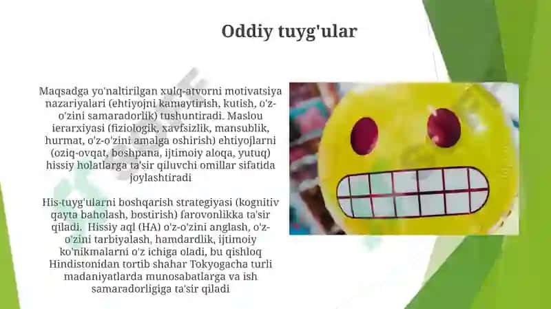 Motivatsiya va emotsiya 4