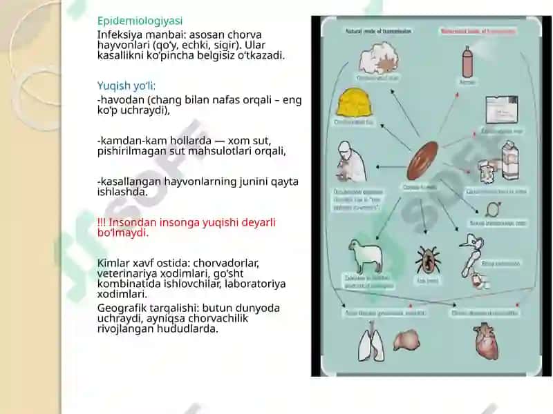 Toshkent Tibbiyot Akademiyasi 2-davolash 412-Aguruhtalabasi 4
