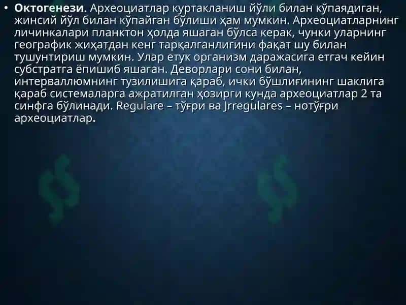 Археоциатлар Типи 4