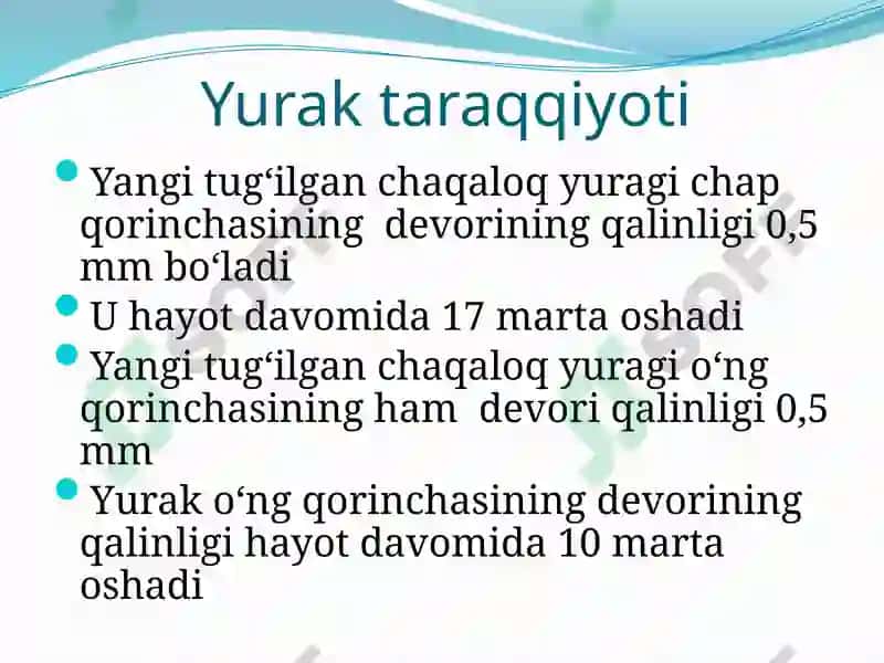 BOLALARDA YURAK-QON TOMIR TIZIMINING ANATOMO-FIZIOLOGIK XUSUSIYATLARI 4