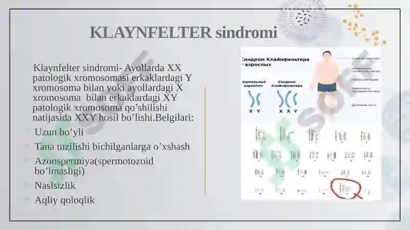 Patologik jarayonlar rivojlanishida ichki omillar ahamiyati 4