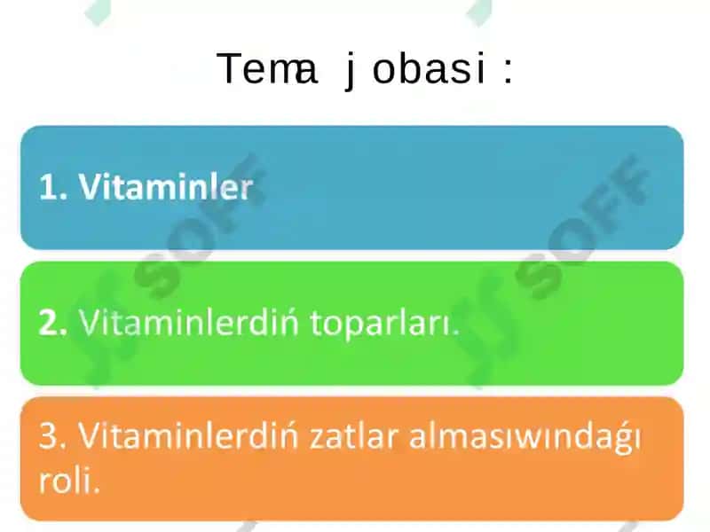 Vitaminler 4