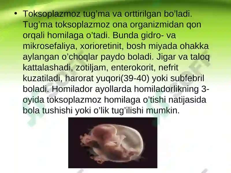 TORCH infeksiyasi 4