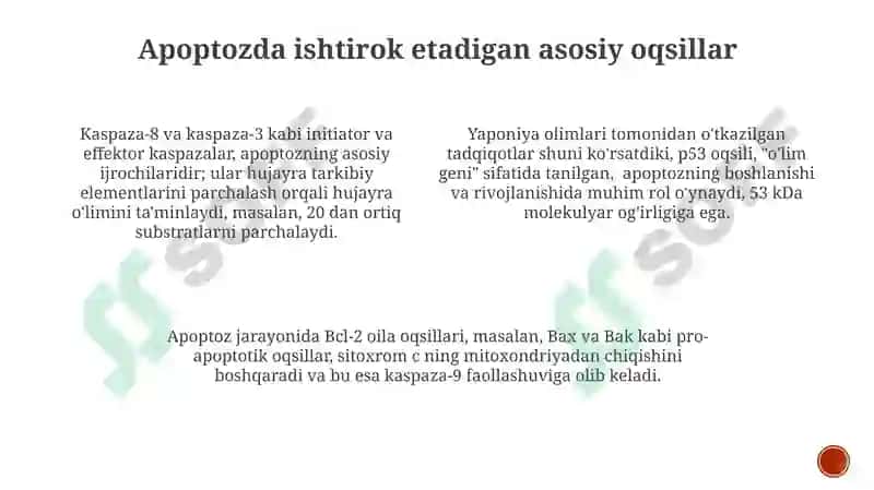 Dasturlashtirilgan Hujayra O'limi: Apoptoz nima? 4
