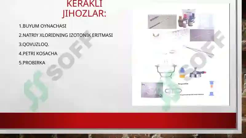 mustaqil ish mikrobiologiya 4