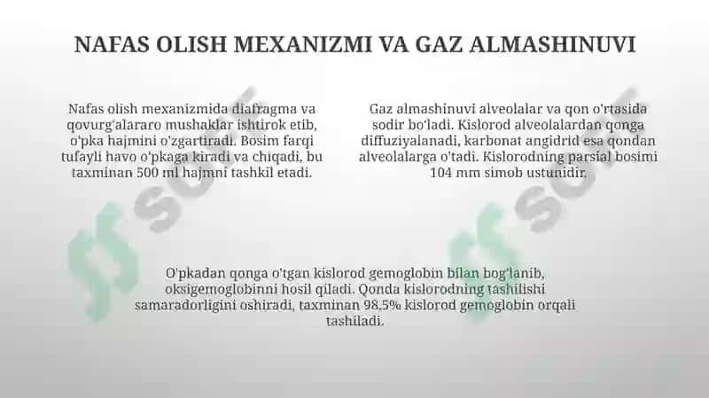 Nafas olish organlari 4