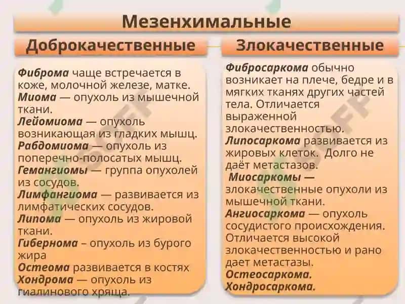 Опухоли 4