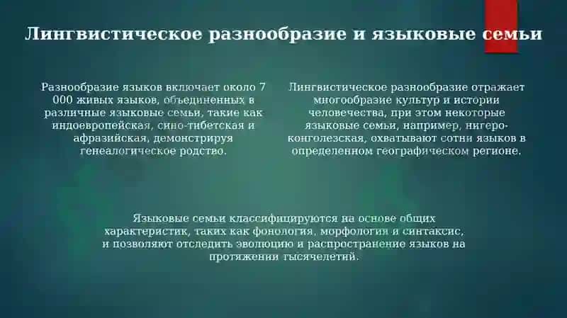 Мировые языки: классификация и распространение 4