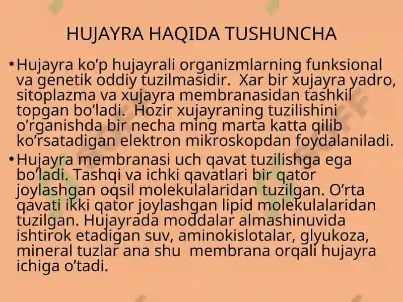 Hujayra Tuzilishi 4