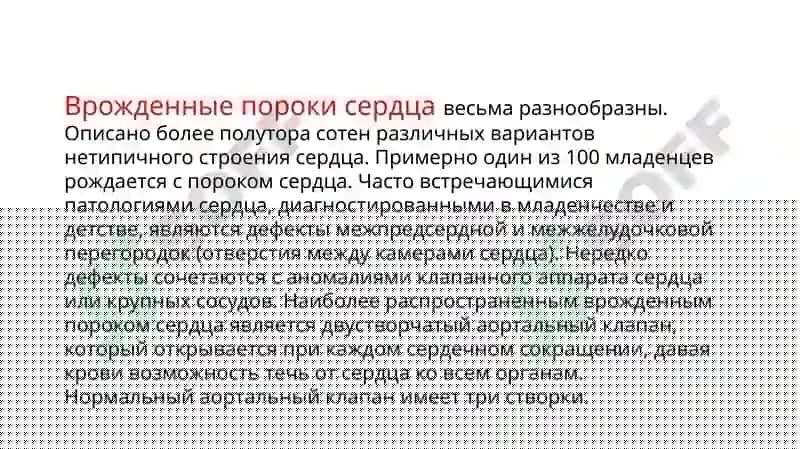 пороки сердца 4