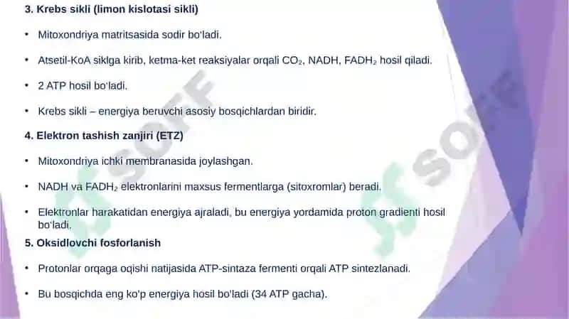 Biologik  oksidlanish 4