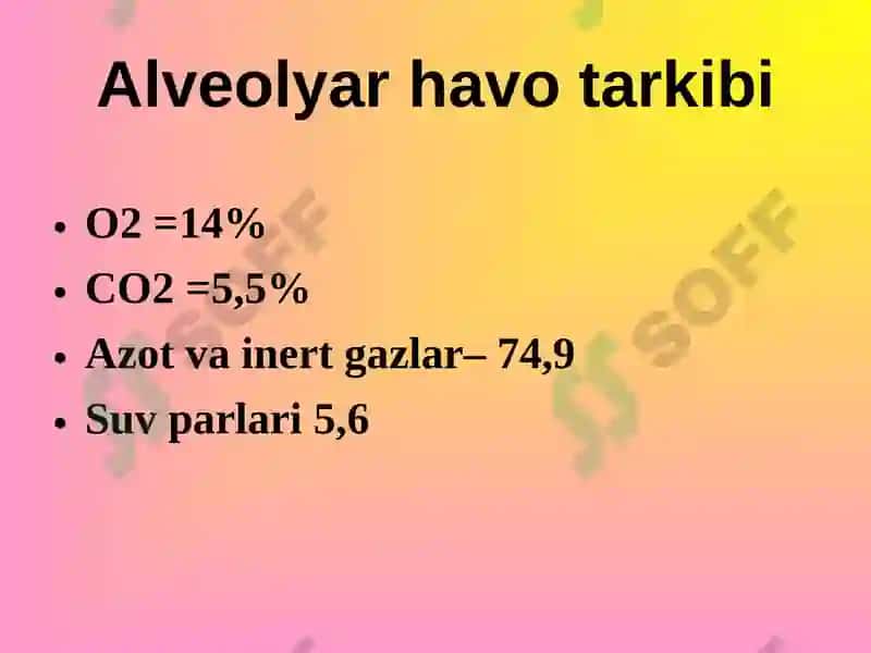 Alveolyar havo 4