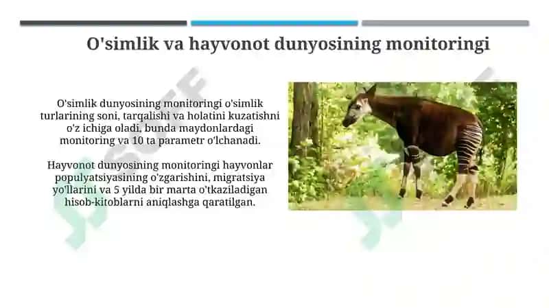 O'simliklar dunyosi va hayvanot olamini muhofazaqilishmonitoringi 4