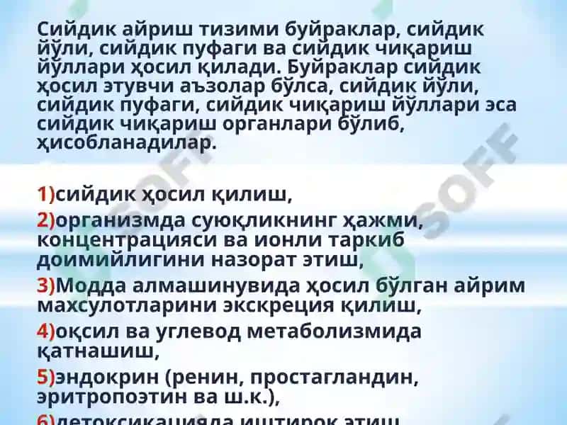 Nefropatiya 4