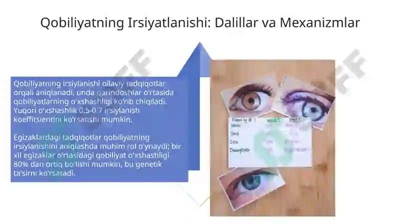 Qobiliyatvagenetika 4