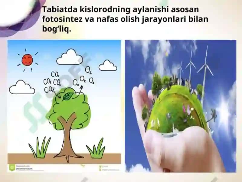 Kislorod gruppachasi elementlari. Oltingugurt 4