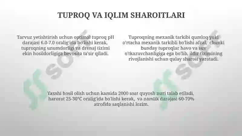 Qovun Yetishtirish va texnalogik xarita tuzish 4
