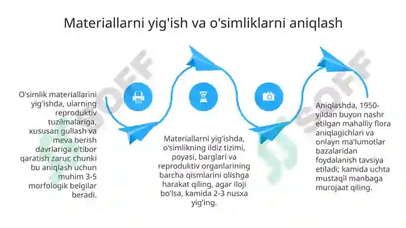 Gerbariy 4