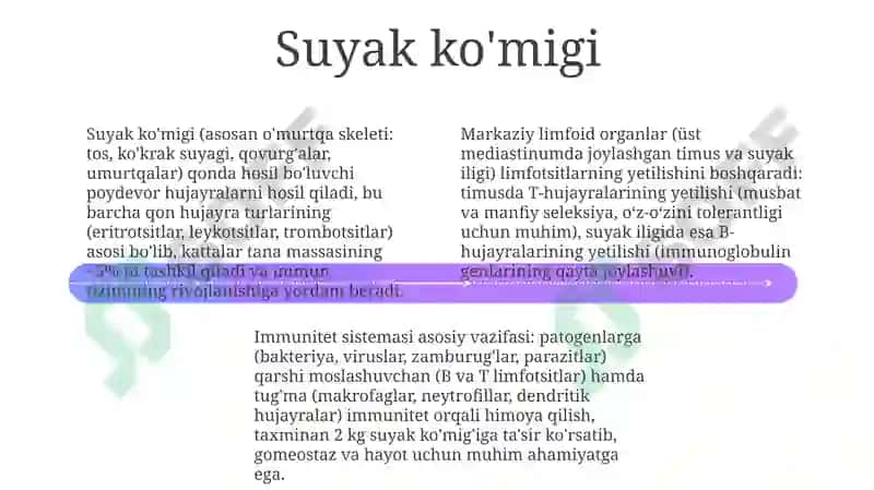 Timus 4
