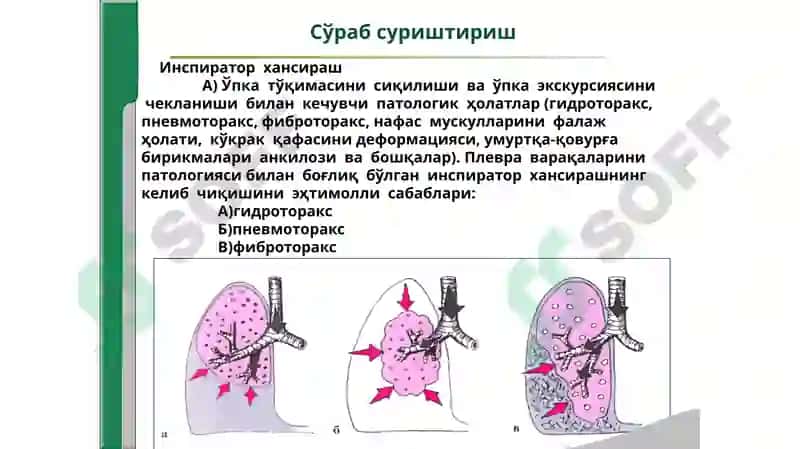 Хансираш 4