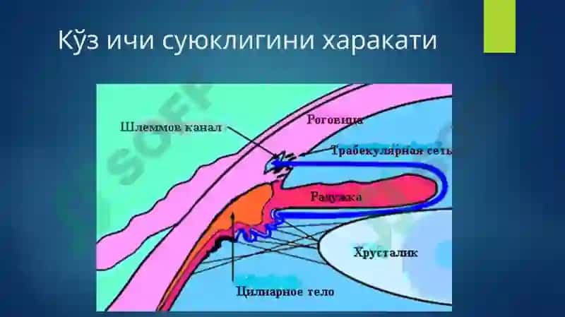 №3 МАЪРУЗА.КЎЗ ИЧКИ БОСИМИ ПАТОЛОГИЯСИ 4