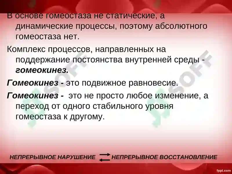 Qon tizimi 4