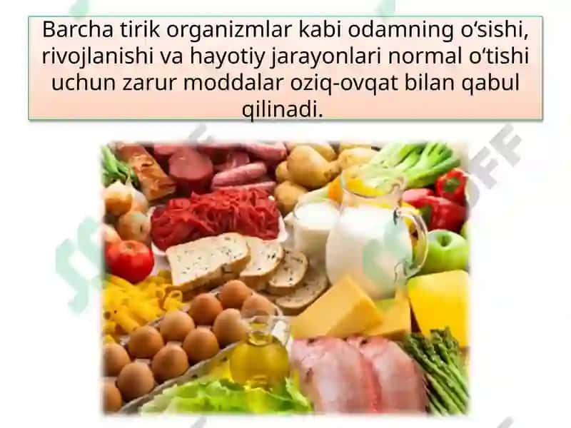 ODAMNING OVQAT HAZM QILISH SISTEMASI 4