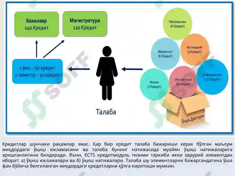ECTS(European Credit Transfer System) 4
