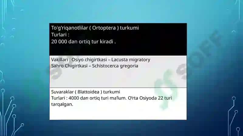 kuzatuv natijalar jadvali 4