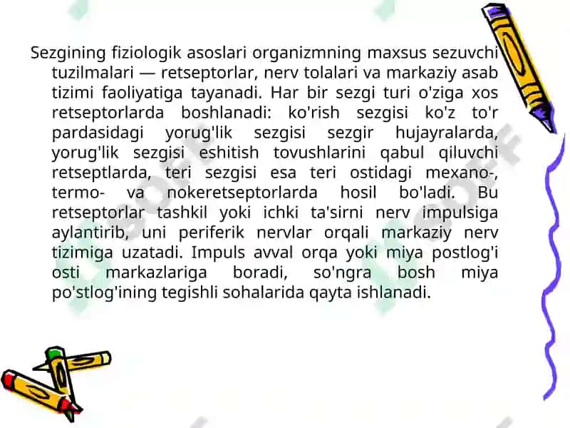 Sezgi 4