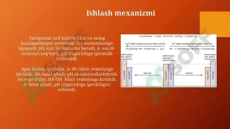 Buffer sistemalar 4