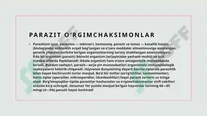 Oʻrgimchaksimonlar 4