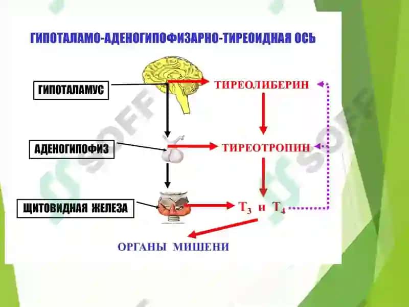 СЎРАБ СУРИШТИРИШ 4