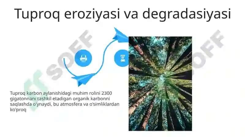 Tuproqning Ekosistemalardagi Muhim Vazifalari 4