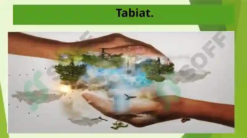 Tabiatdan foydalanishning geografik asoslari fanining nazariy asoslari. 4