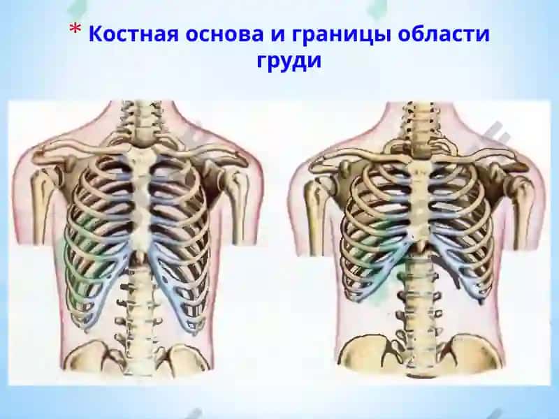 Топографическая анатомия и оперативная хирургия 4