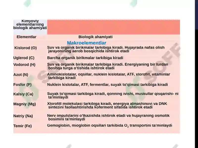 Akademik litseyni biologiya fanio’qituvchisi 4