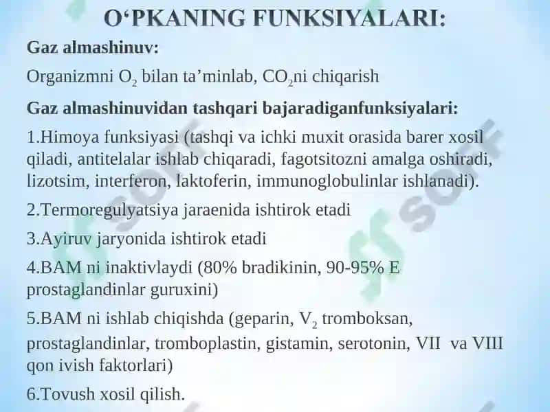 Nafas sistemasining funksional xarakteristikasi 4