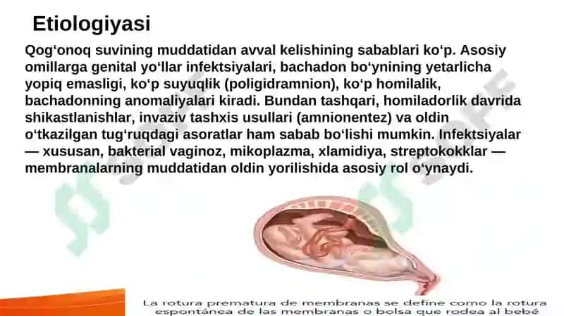 Qo'g'onoq suvining muddatidan avval kelishi 4