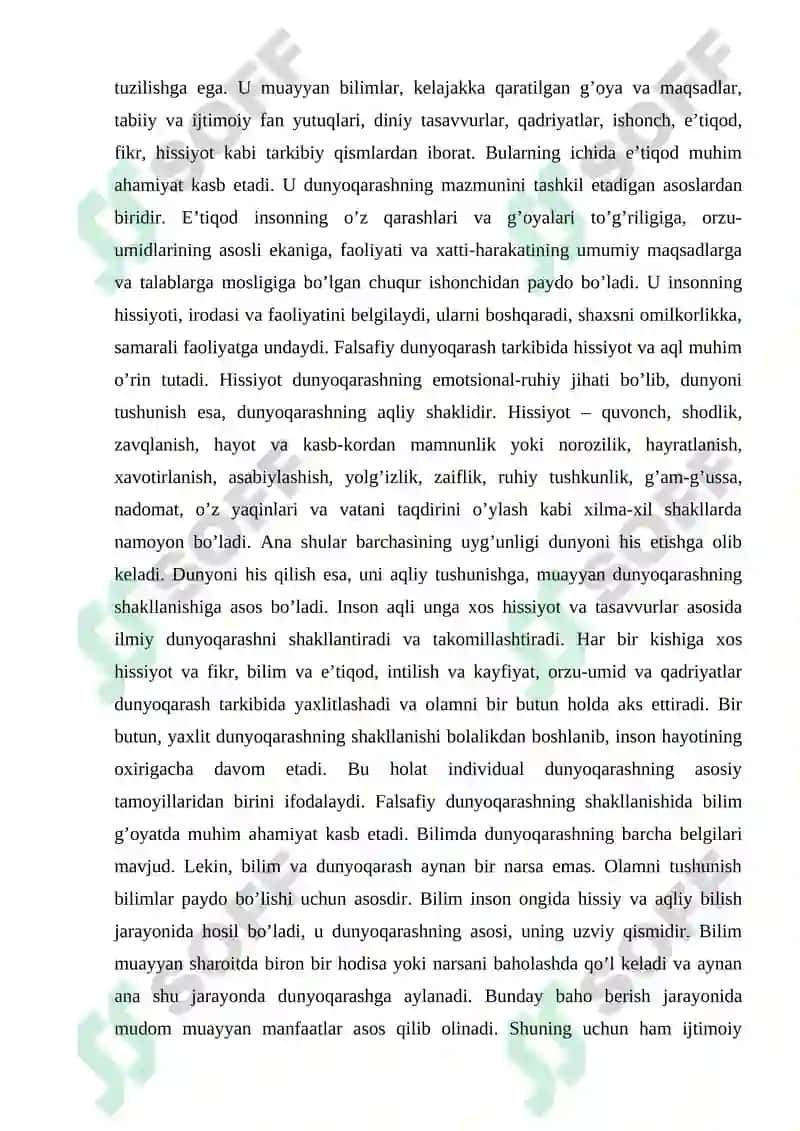 Dunyoqarashning mohiyati, tuzulishi va asosiy funksiyalari 4