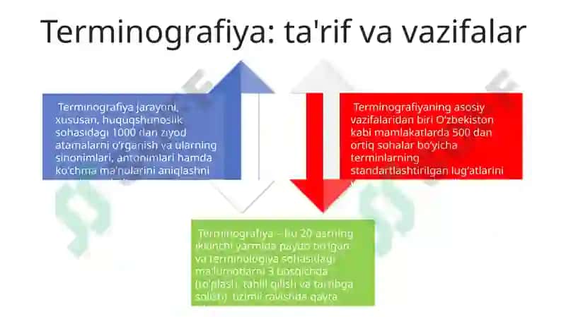 Terminologiya 4